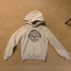 Aritzia/TNA Cozy Fleece Perfect Fit Hoodie Heather Crome Size XS